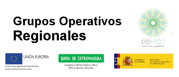 Grupos Operativos Regionales
