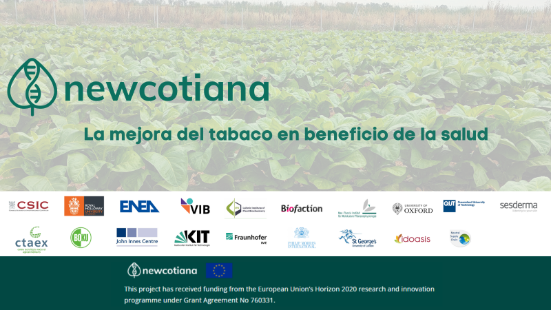 19 grupos de investigación europeos presentan en Badajoz novedosos usos alternativos al tabaco