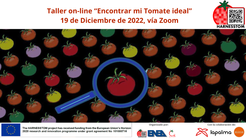 CTAEX participará en un taller online en el marco del Proyecto Europeo HARNESSTOM con la finalidad de presentar cual es el “tomate ideal”