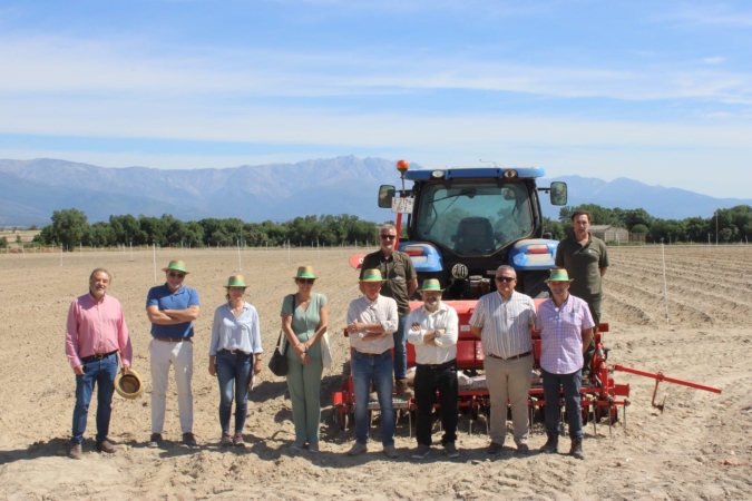 Comienzan los ensayos para la siembra de cáñamo industrial en Campo Arañuelo y La Vera