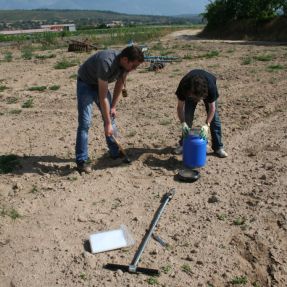 14 07 07 muestras suelo