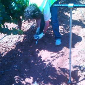 14 07 24 m_suelo_Tarancon