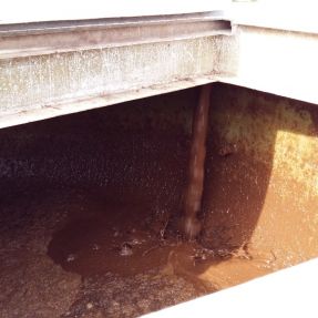 Desmontaje y traslado módulo producción biogás 1