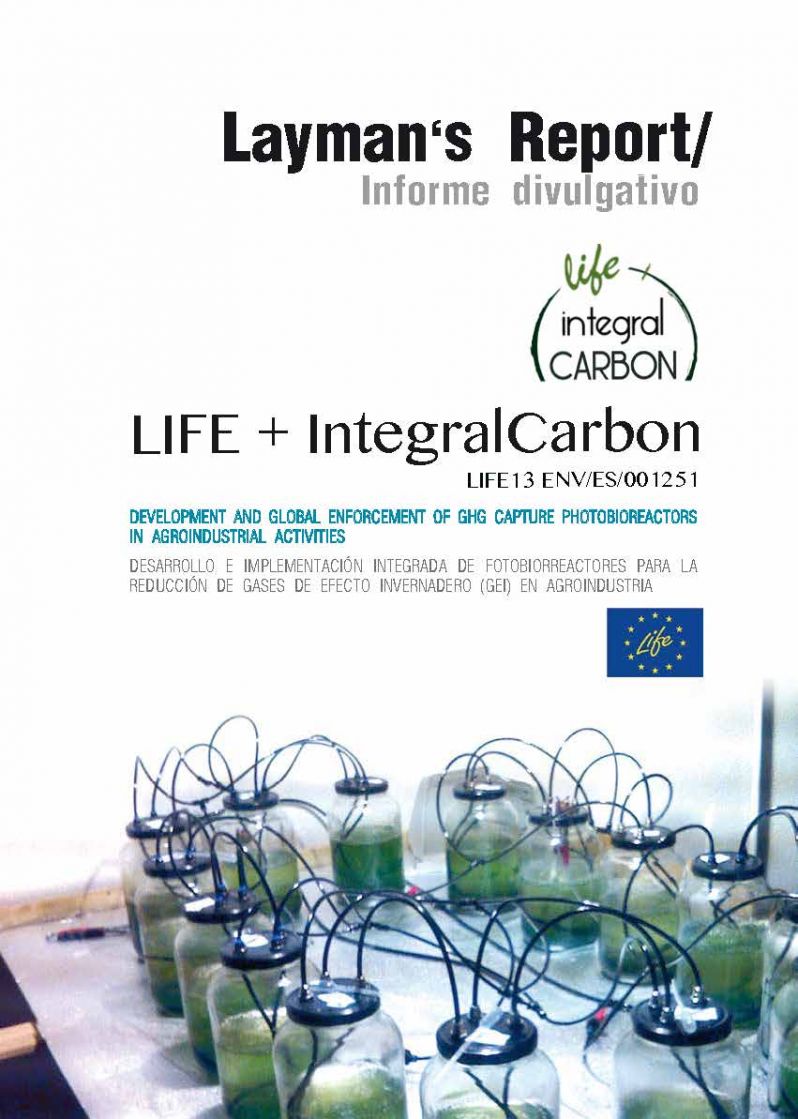 portada-layman-life-integralcarbon.jpg