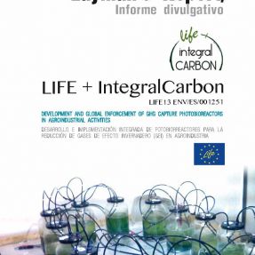 portada-layman-life-integralcarbon.jpg
