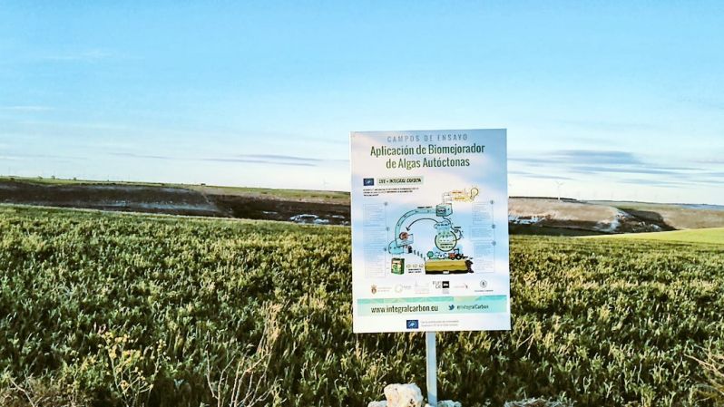 17 05 07 1 monitoriz esparceta