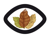 Observatorio Tecnológico del Tabaco