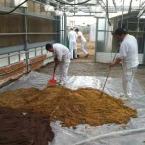 2a Secado de alperujo de distinta procedencia temporal