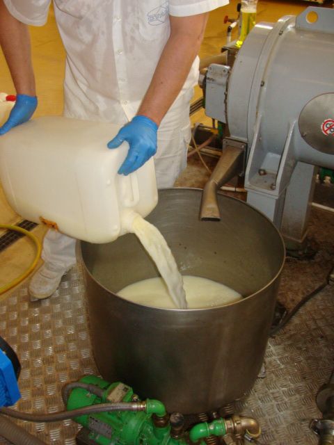 Toma de muestra suero de oveja