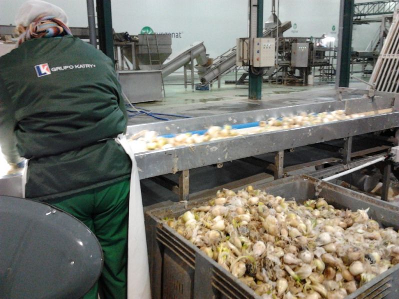 Toma de muestras residuos de cebolla