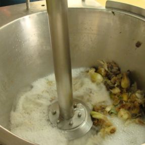 Extracción residuos de cebolla