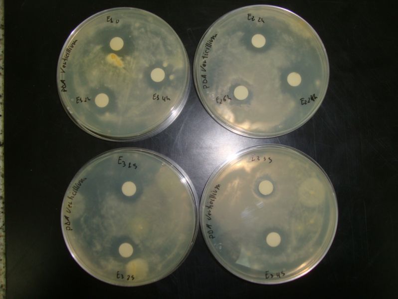 14 10 17 noticia caracterizacion pesticida