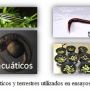 14 09 11 noticia orgmos ensayos ecotoxicologicos