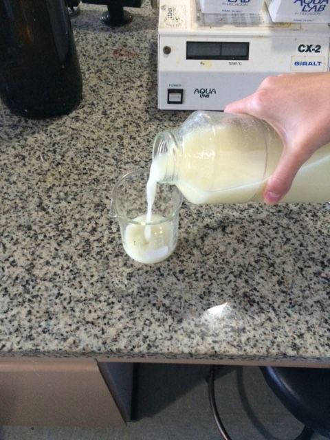 13 02 17 noticia suero oveja