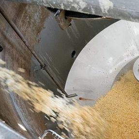 Extracción residuos ajo: Carga en el reactor