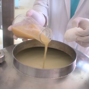 Lactosuero: Inoculación lactobacilos