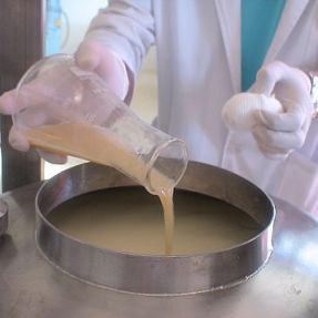 Inoculación en lactosuero