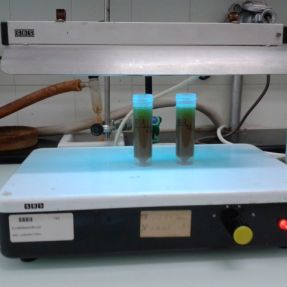 Estabilidad a la luz ultravioleta