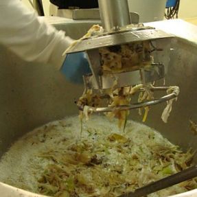 Extracción residuos cebolla