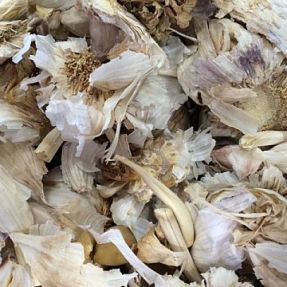 Toma de muestra residuos ajo 2013