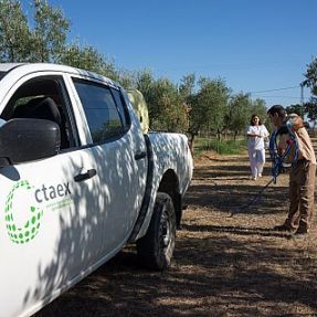 Preparación tratamientos olivar 2014