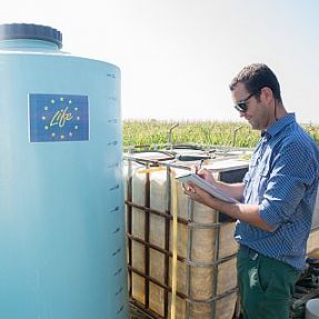 Preparación tratamientos tomate 2014