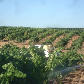 Aplicación biocida en viña 2015