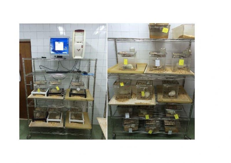 15 09 07 toxicidad dermica