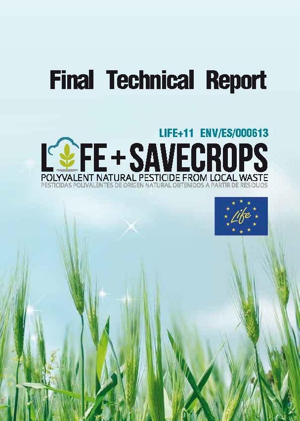 portada Final Technical Report