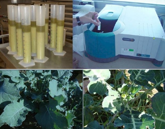 VALES TECNOLÓGICOS. CONVOCATORIA ABIERTA