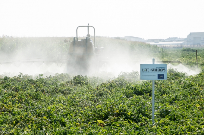 Difusión de resultados del proyecto LIFE+ Savecrops en Bruselas