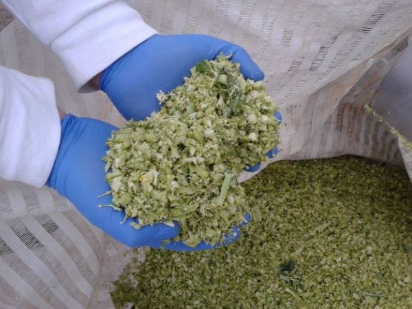 Jornada de valorización de subproductos en el sector agroalimentario