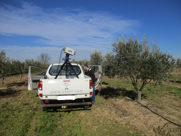 UN PROYECTO BASADO EN LAS TICs Y LA TECNOLOGÍA HIPERESPECTRAL PERMITIRÁ OPTIMIZAR EL RENDIMIENTO DE PARCELAS DE OLIVAR Y PREDECIR SU POTENCIAL PRODUCTIVO EN FASES TEMPRANAS