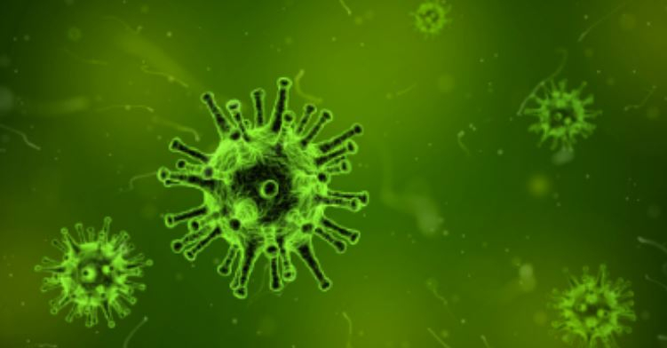 COMUNICADO DE CTAEX SOBRE EL COVID-19