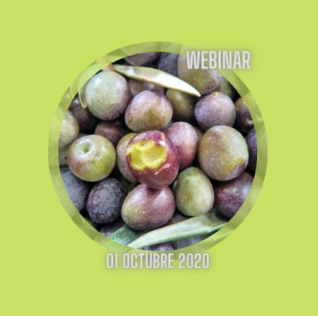 PREPARACIÓN DE LA CAMPAÑA OLEÍCOLA 2020-21