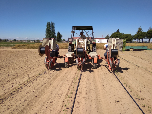NOMAD BIOSCIENCE y CTAEX llegan a un acuerdo para realizar sus primeras pruebas de campo con plantas productoras del edulcorante no calórico Thaumatin II en Extremadura