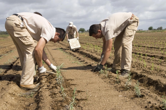 Fincas experimentales