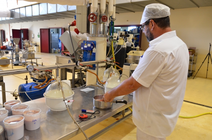 Desarrollo de productos