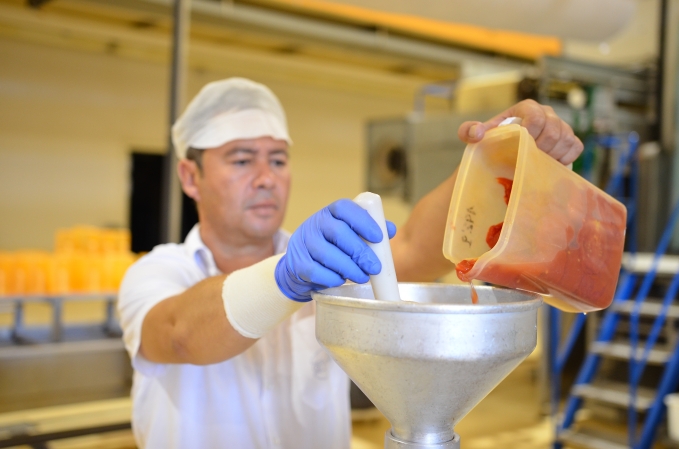 Desarrollo de productos