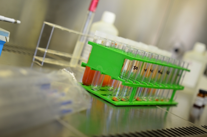 Infraestructuras y equipamiento disponible