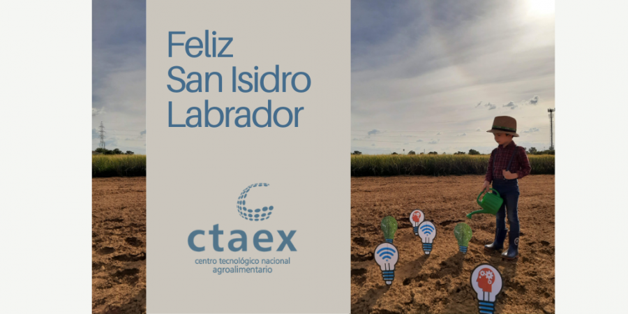 San Isidro Labrador 2021