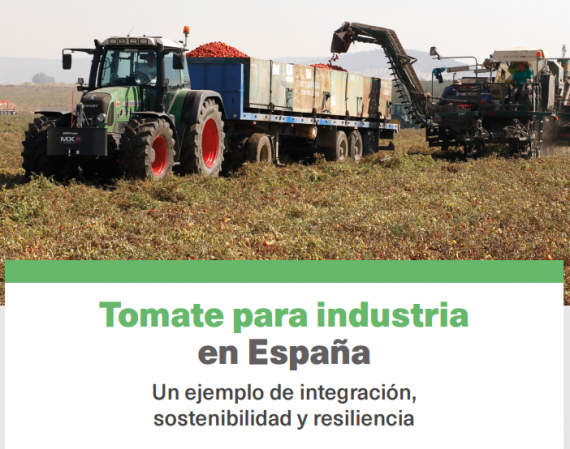 La revista MERCASA publica un artículo sobre el tomate para industria