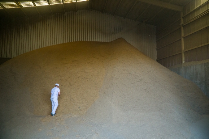 Valorización de subproductos