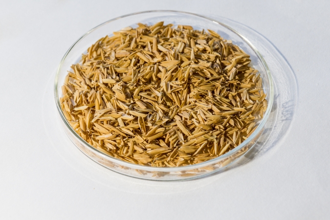 Valorización de subproductos