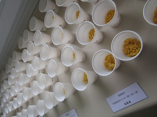 Análisis sensoriales