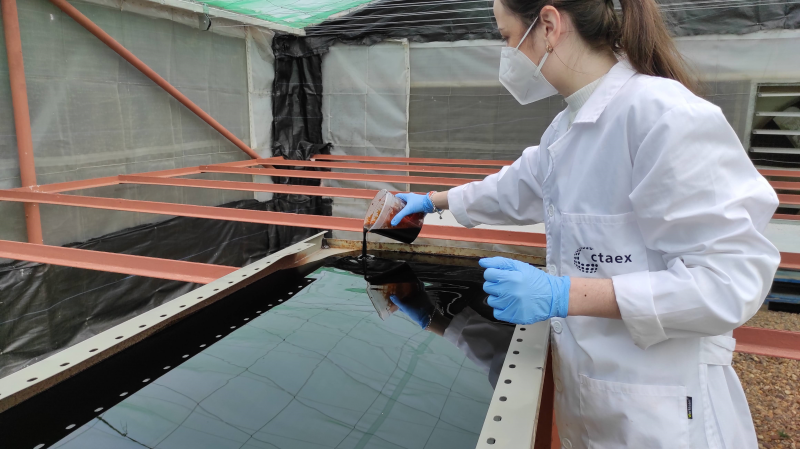 Valorización de subproductos