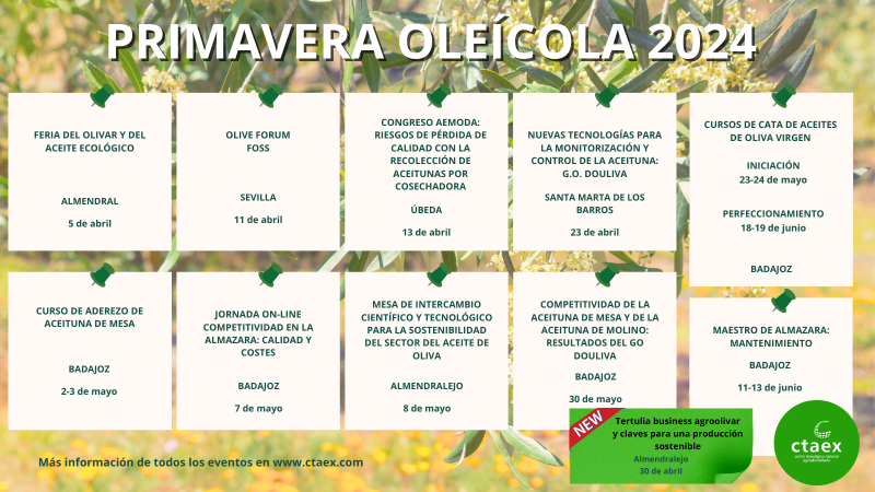 CTAEX LANZA SU PRIMAVERA OLEÍCOLA 2024
