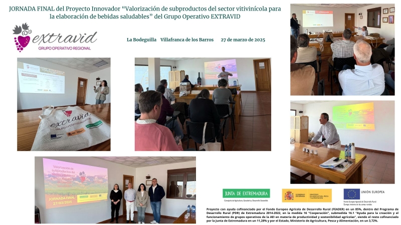 Se presentan los resultados del Proyecto Innovador: “Valorización de subproductos del sector vitivinícola para la elaboración de bebidas saludables” del Grupo Operativo EXTRAVID