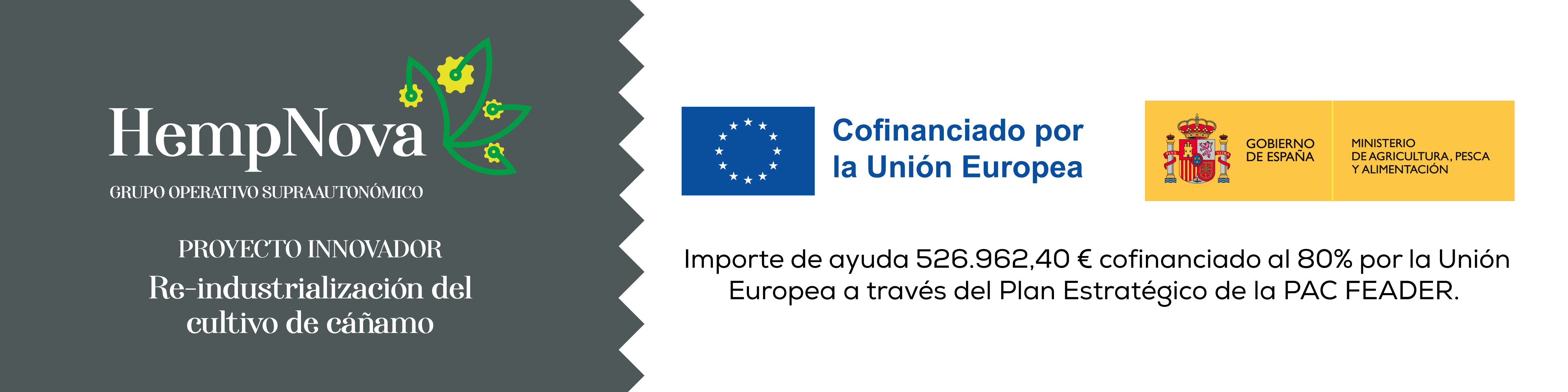 Imagen: HEMPNOVA - Proyecto Innovador &quot;Re-industrialización del cultivo del cáñamo&quot;