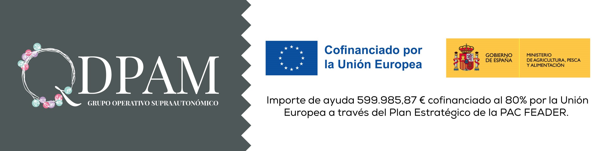 Imagen: QDPAM -  Proyecto innovador &quot;Garantía de calidad, diferenciación y valorización de la producción española de plantas aromáticas y medicinales&quot;